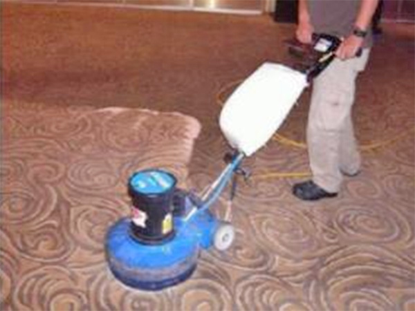 怎樣清洗純毛的地毯？